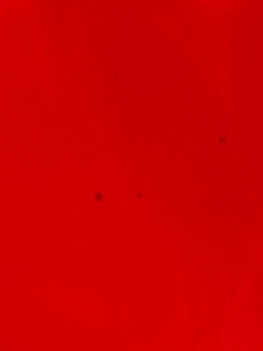 Carolina Herrera Red Shoulder Tote - Picture 9 of 11